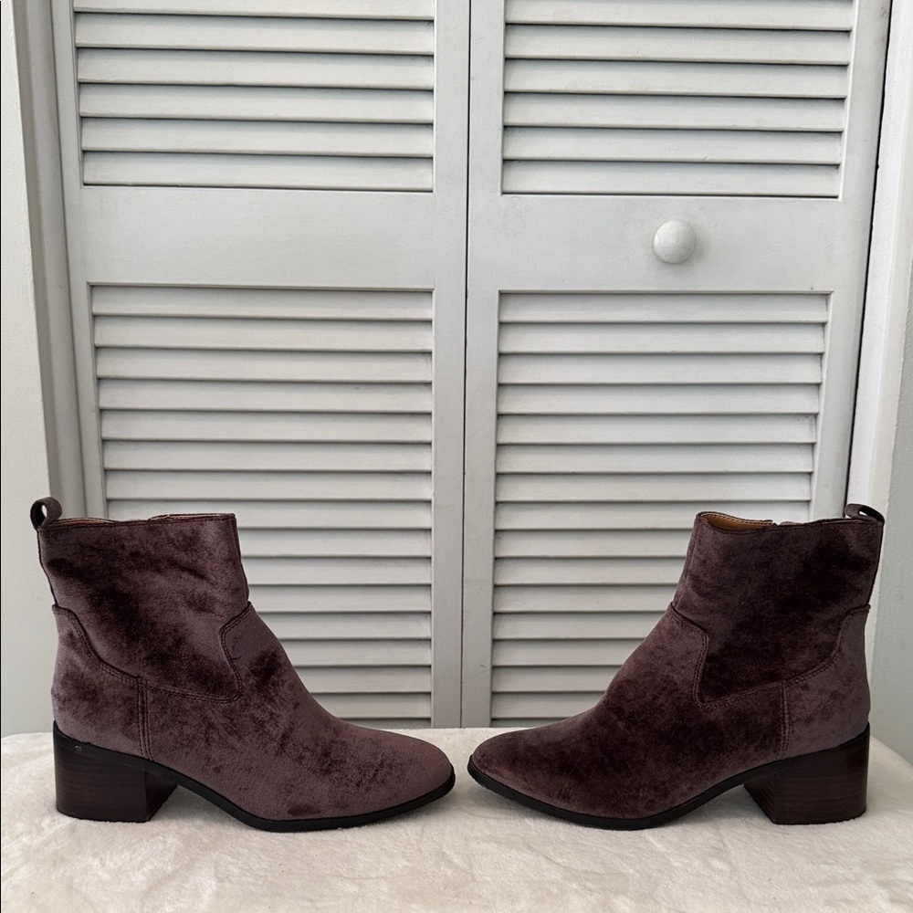 Latigo Velvet Ankle Boots - Picture 6 of 8